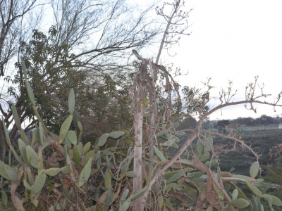 pic11feb17_164