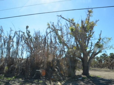 DSC_0841