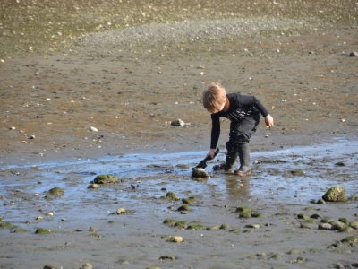pic18mar17_296