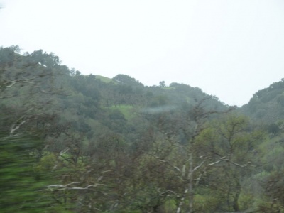 pic19feb17_22