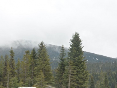 pic1may17_102