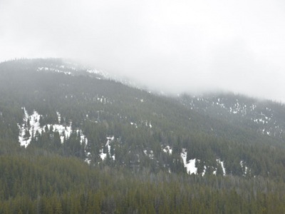 pic1may17_106