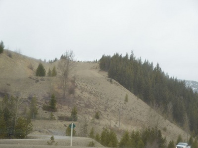 pic1may17_112