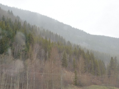 pic1may17_119