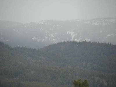 pic1may17_129
