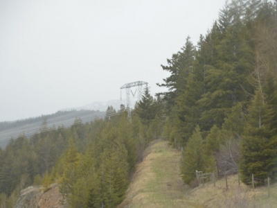 pic1may17_135