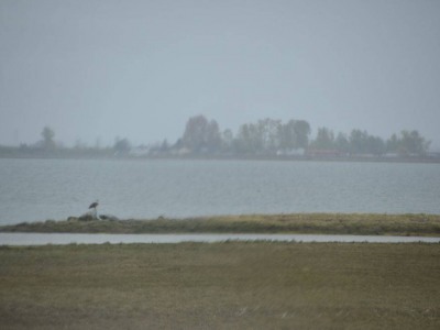 pic1may17_24