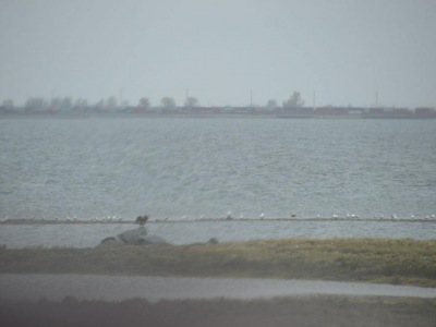 pic1may17_26