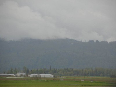 pic1may17_33