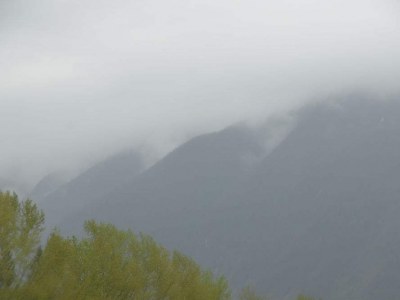 pic1may17_45