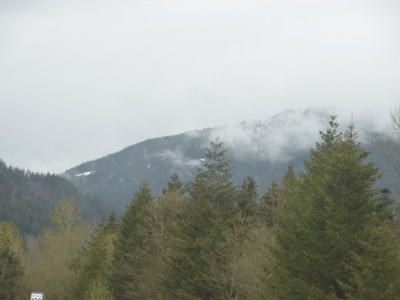 pic1may17_72