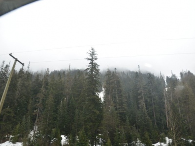 pic1may17_89