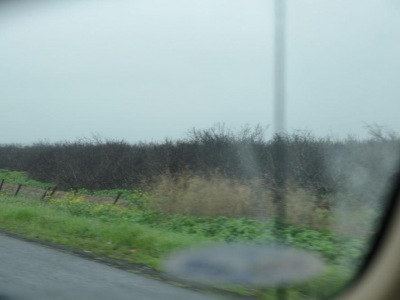 pic20feb17_20