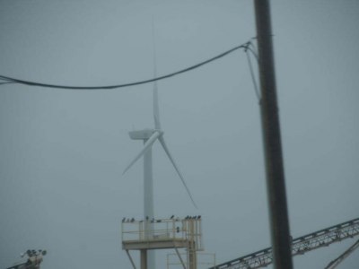pic20feb17_41