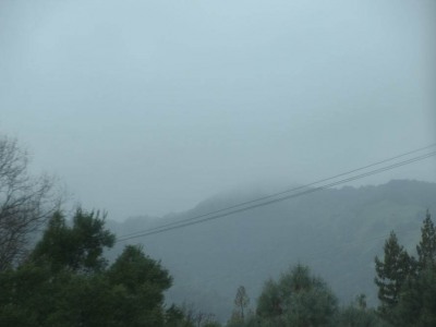 pic20feb17_48