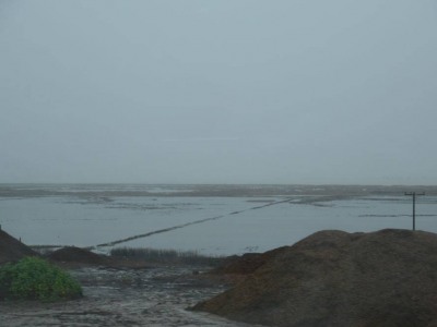 pic20feb17_61