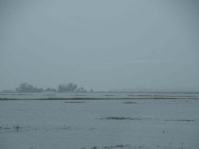 pic20feb17_65