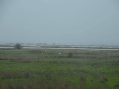 pic20feb17_69
