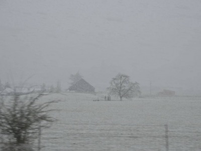 pic26feb17_136