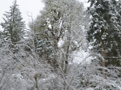 pic26feb17_150