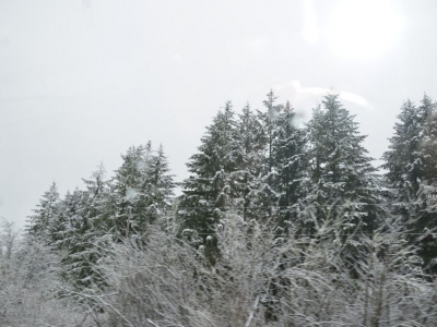 pic26feb17_151