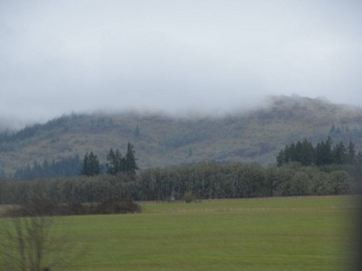 pic26feb17_159