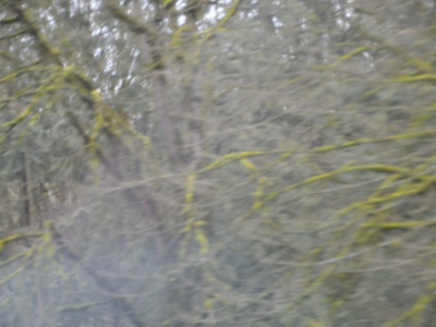 pic27feb17_86