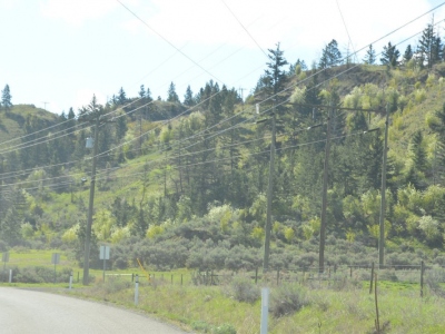 pic2may17_04