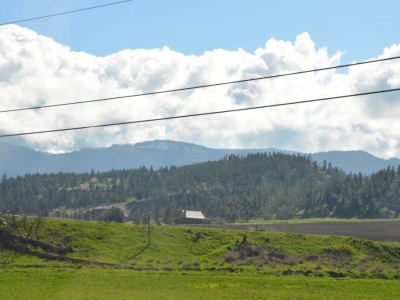 pic2may17_34