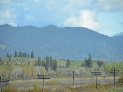 pic2may17_52