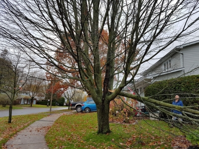 pic30oct17_06