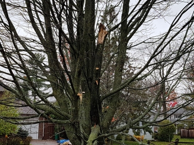 pic30oct17_08