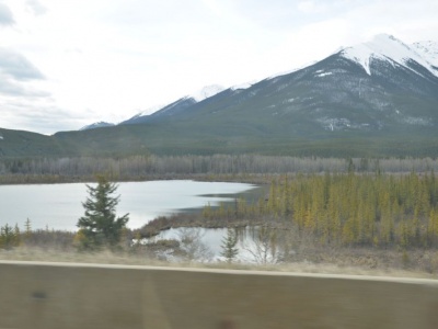 pic3may17_106