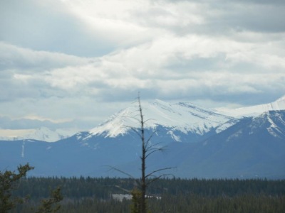 pic3may17_127
