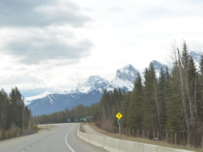pic3may17_131