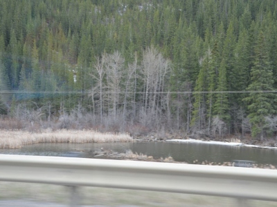 pic3may17_134
