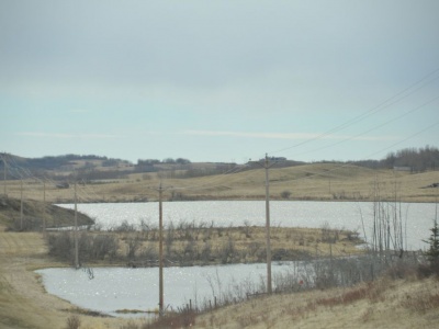 pic3may17_141