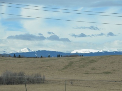 pic3may17_146