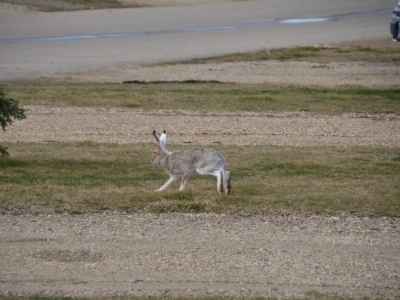 pic3may17_172