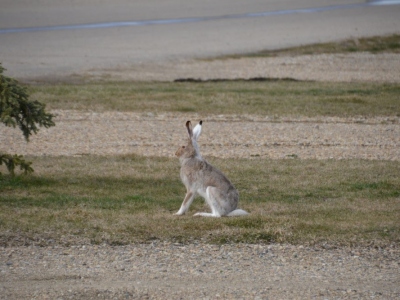 pic3may17_173