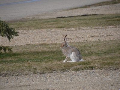 pic3may17_181