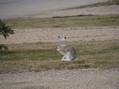 pic3may17_182