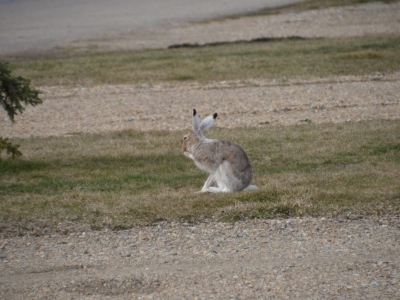 pic3may17_183