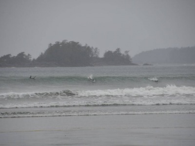 pic4apr17_41