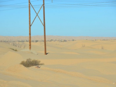 pic4feb17_70