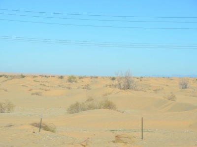 pic4feb17_73