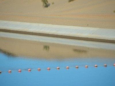 pic4feb17_77