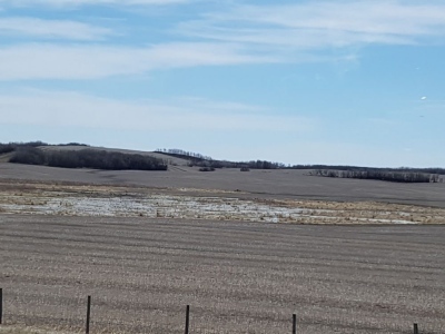 pic4may17_07
