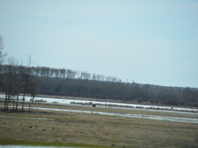 pic4may17_24