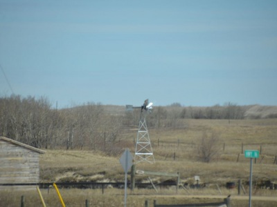 pic4may17_59